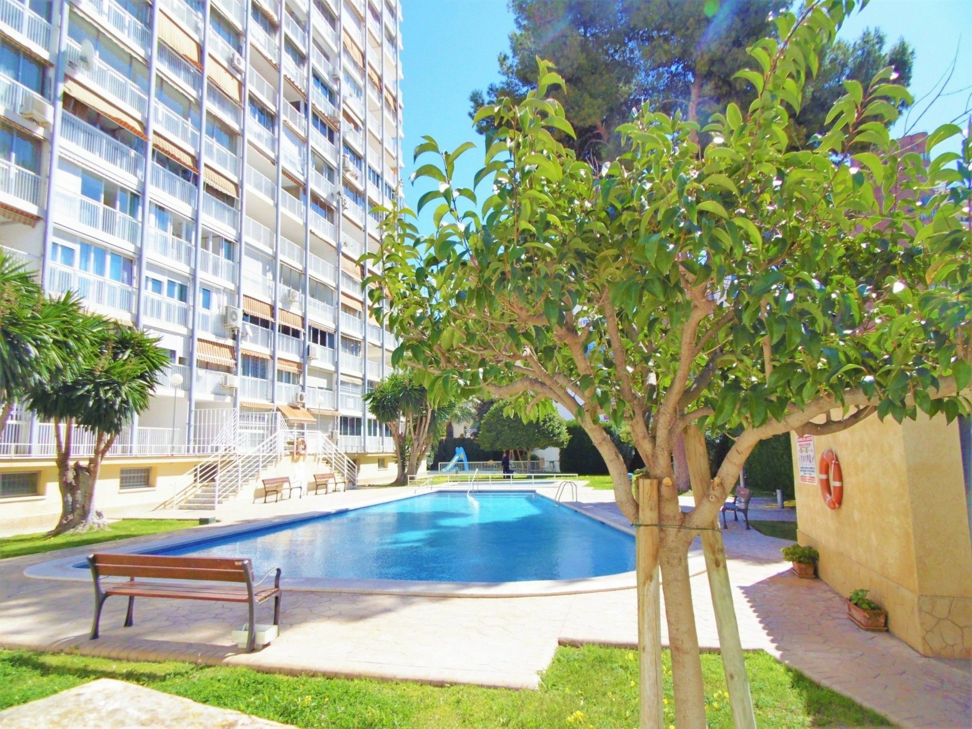 Albatros 11-5 Apartment Benidorm Exterior photo